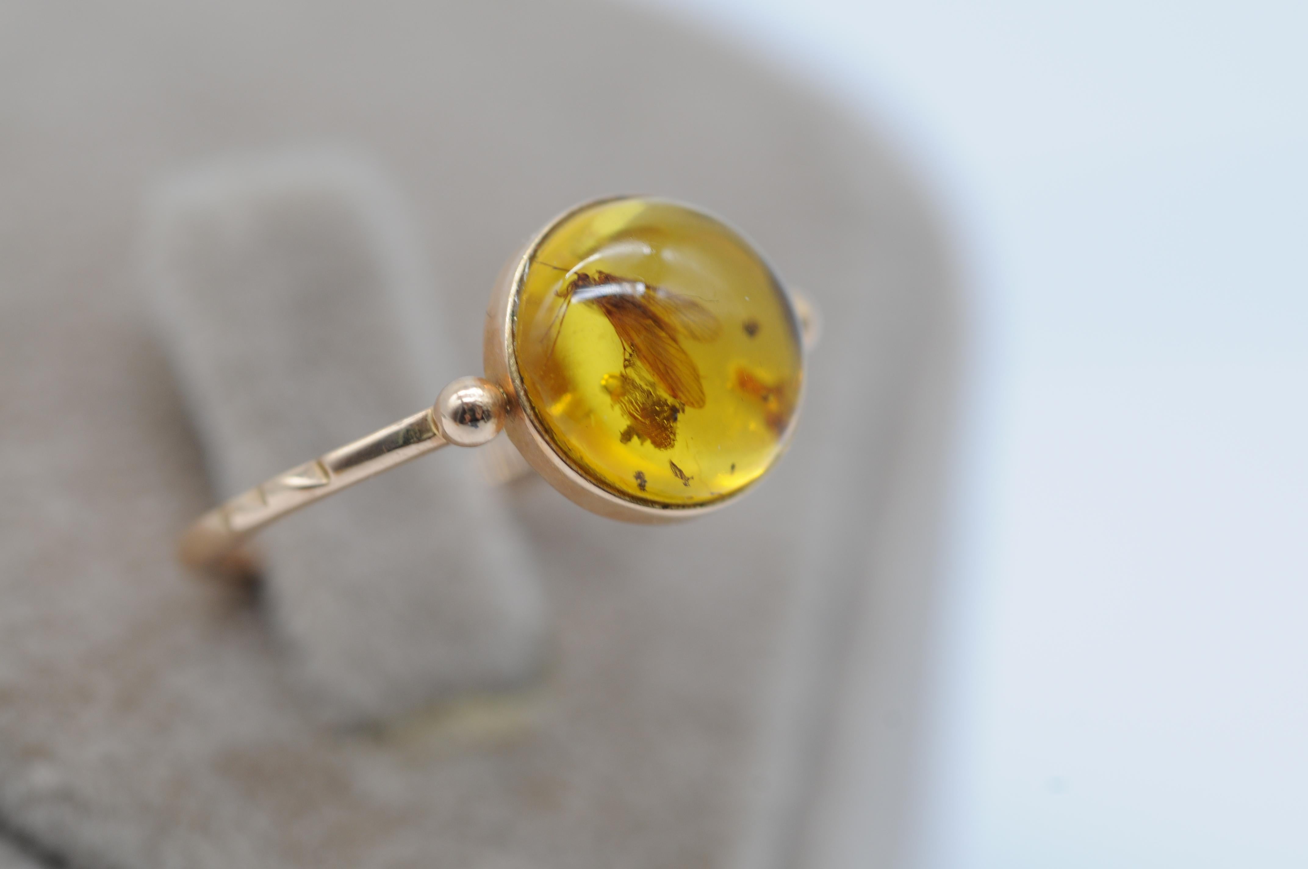 wonderful amber ring with insect included In Good Condition For Sale In Berlin, BE