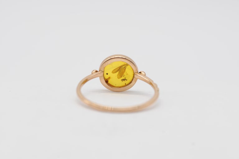 wonderful amber ring with insect included For Sale at 1stDibs