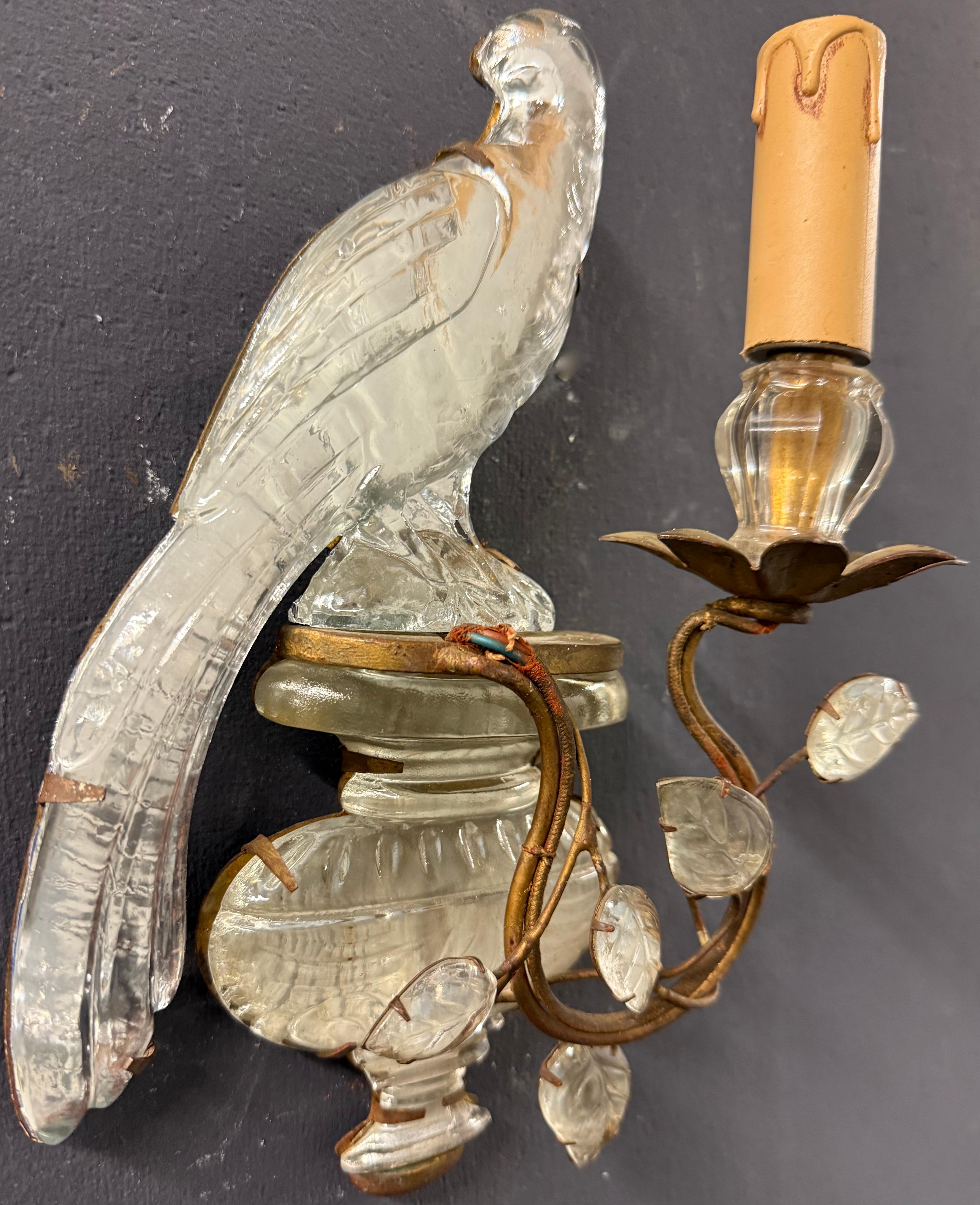 Wonderful and early Maison Bagues Parrot sconces For Sale 3