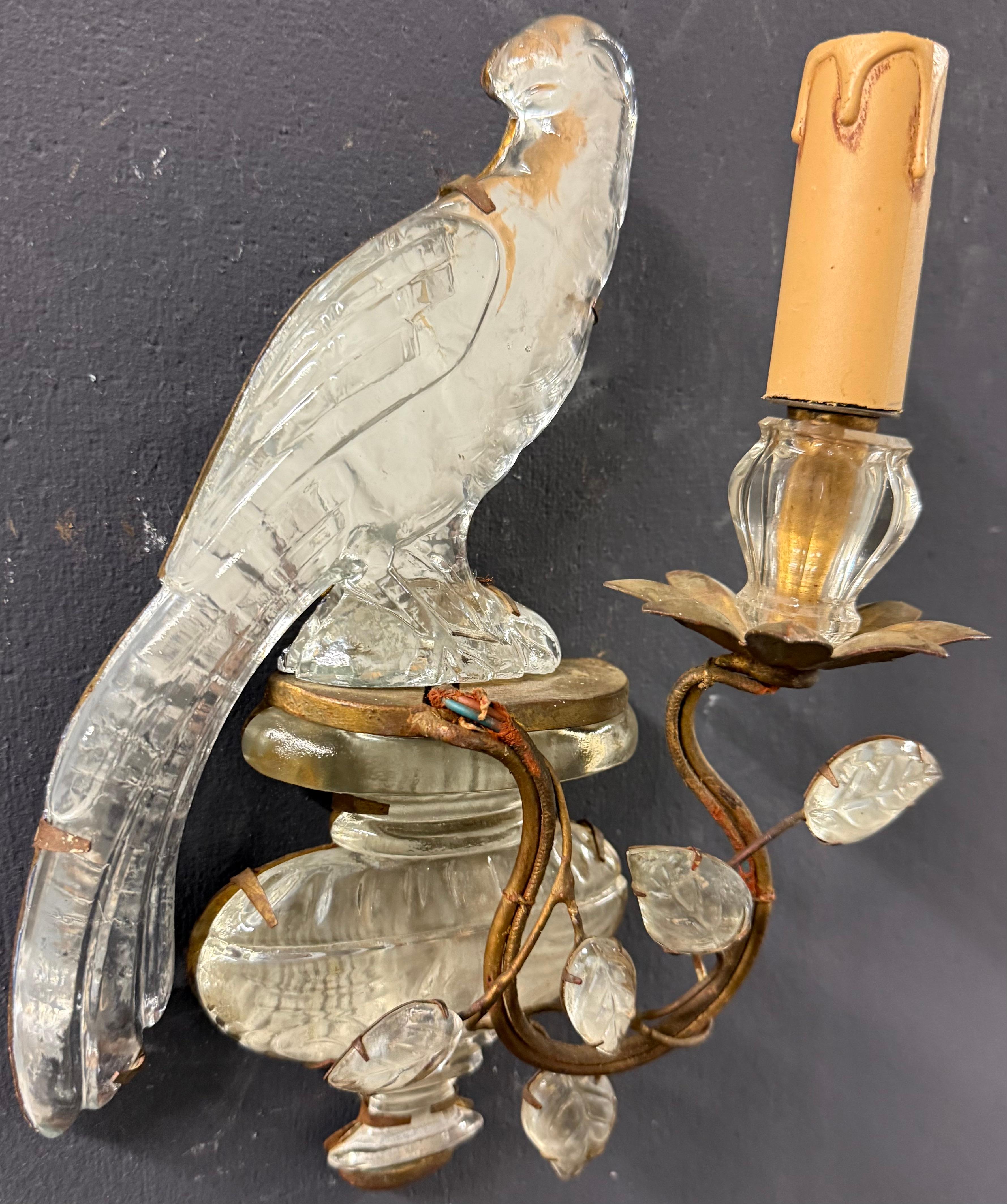 Wonderful and early Maison Bagues Parrot sconces For Sale 7