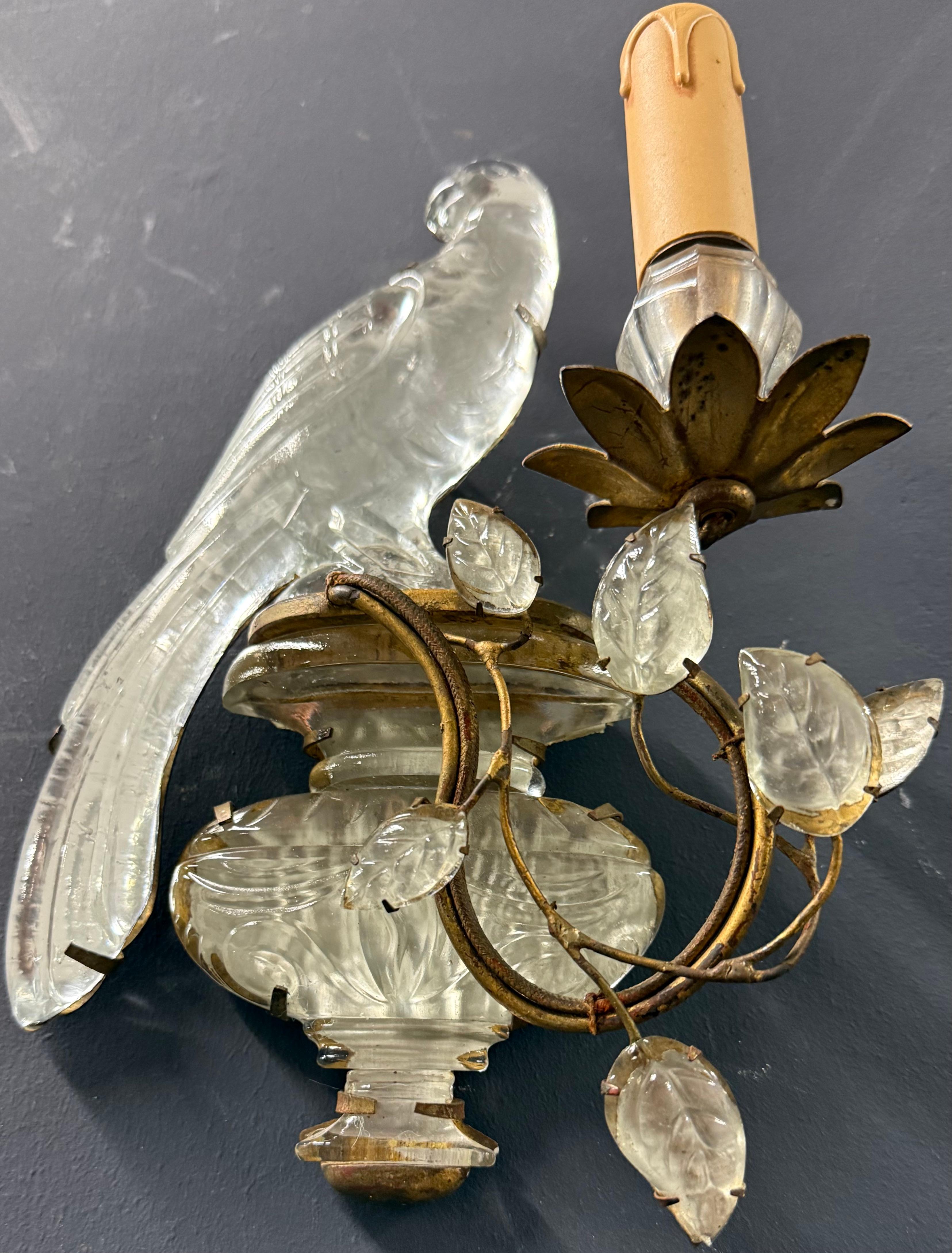 Mid-20th Century Wonderful and early Maison Bagues Parrot sconces For Sale