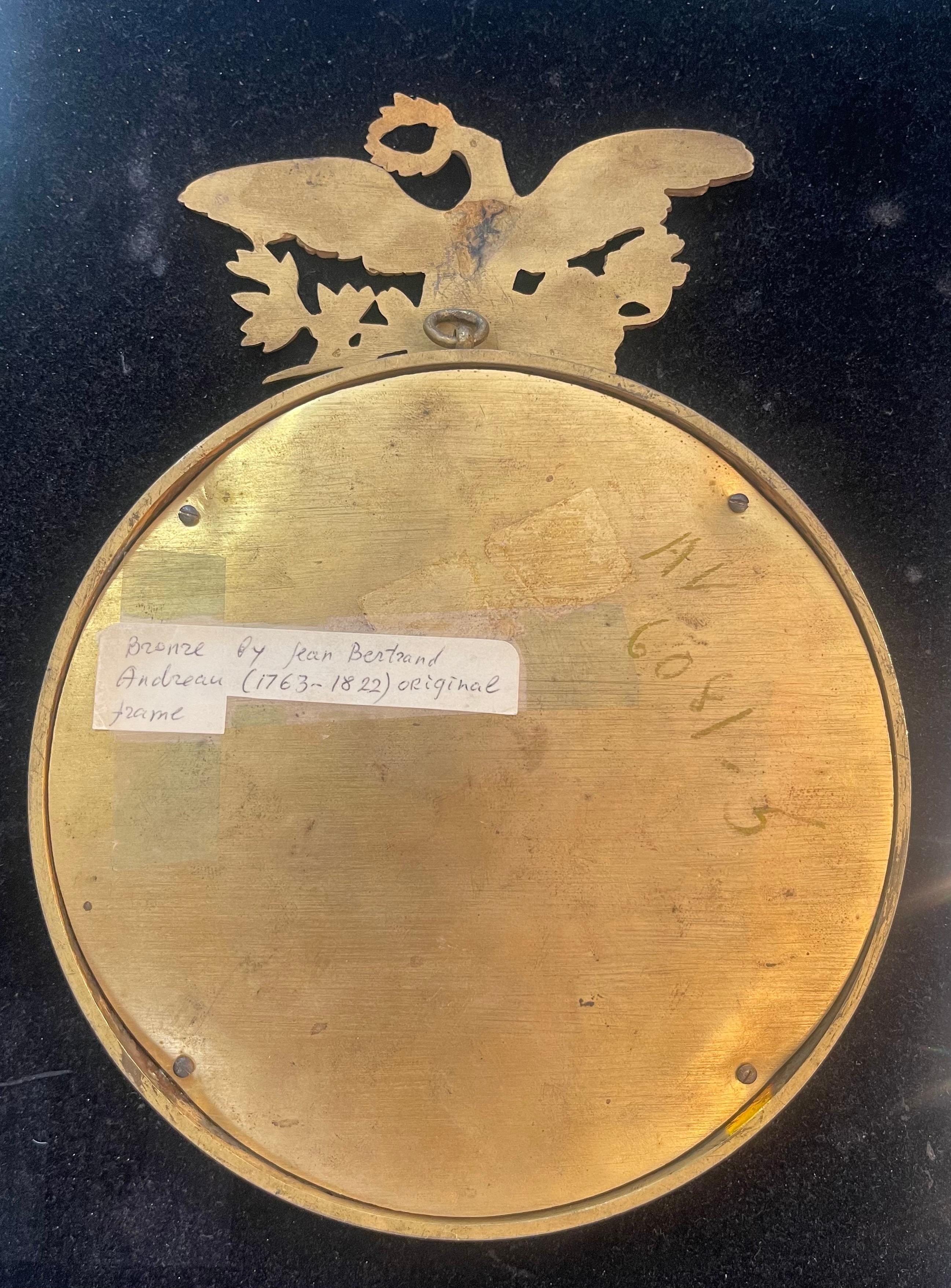 Wonderful Andrieu Jean-Bertrand Bronze Plaque 19C Napoleon Josephine Eagle Frame In Good Condition In Roslyn, NY