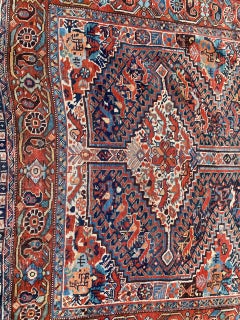 Bobyrug’s Wonderful Antique Ghashghai Rug