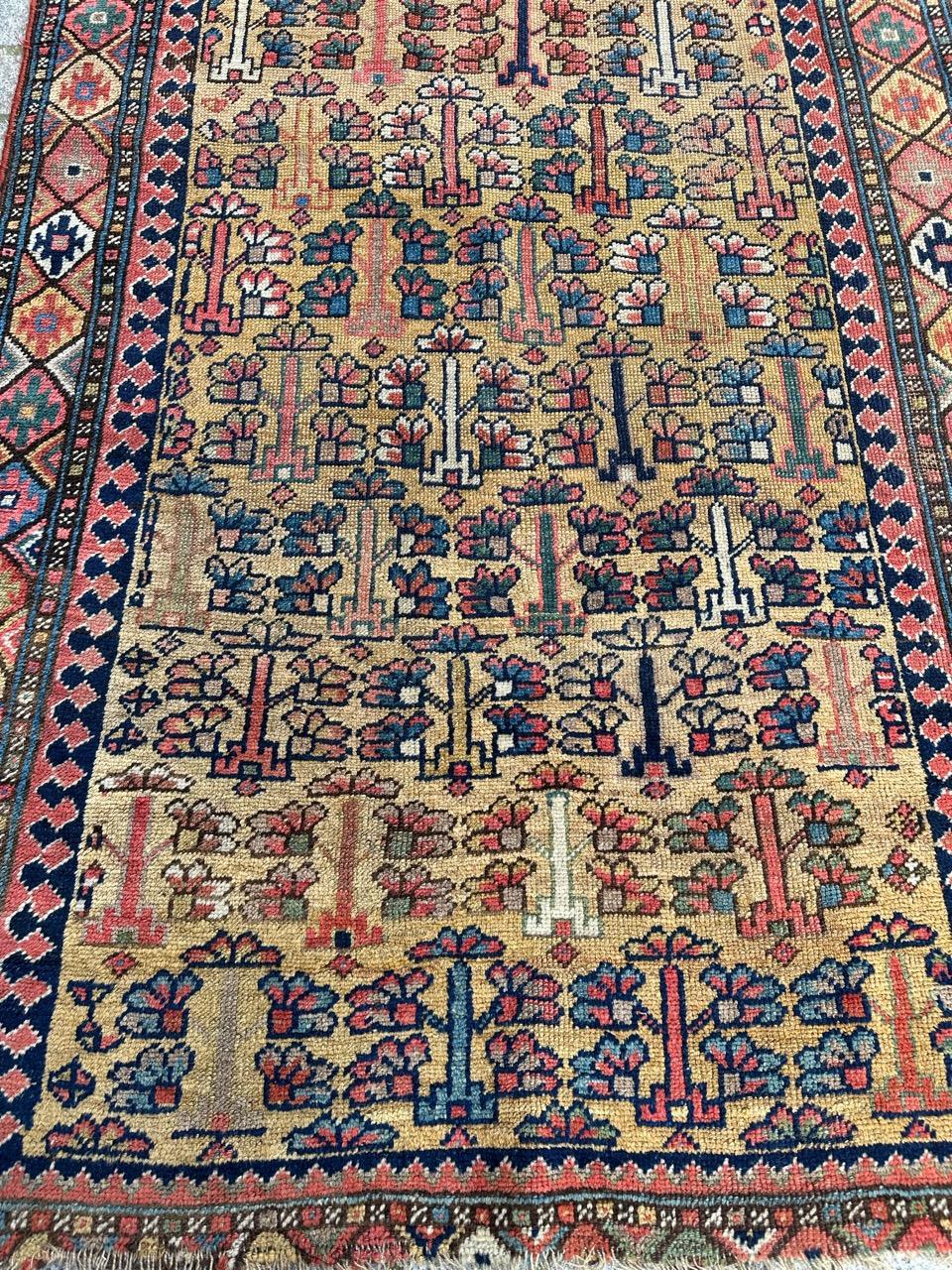 Très décoratif et antique tapis caucasien ou kurde du milieu du 19ème siècle avec de beaux motifs stylisés et de belles couleurs naturelles, entièrement noué à la main avec de la laine sur une base de laine.

✨✨✨
