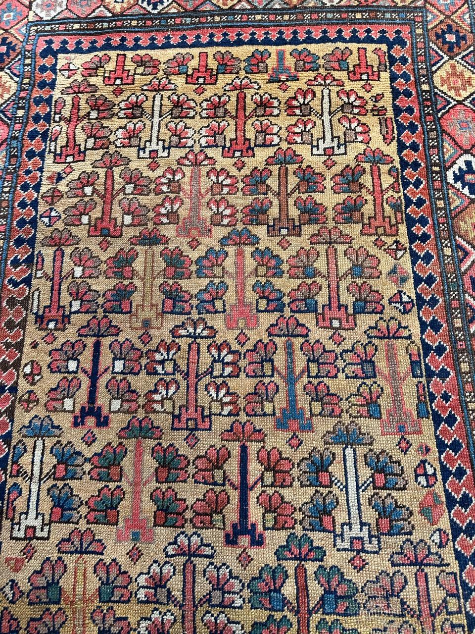 Hand-Knotted Wonderful Antique Tribal Collectible Kurdish or Caucasian Rug For Sale
