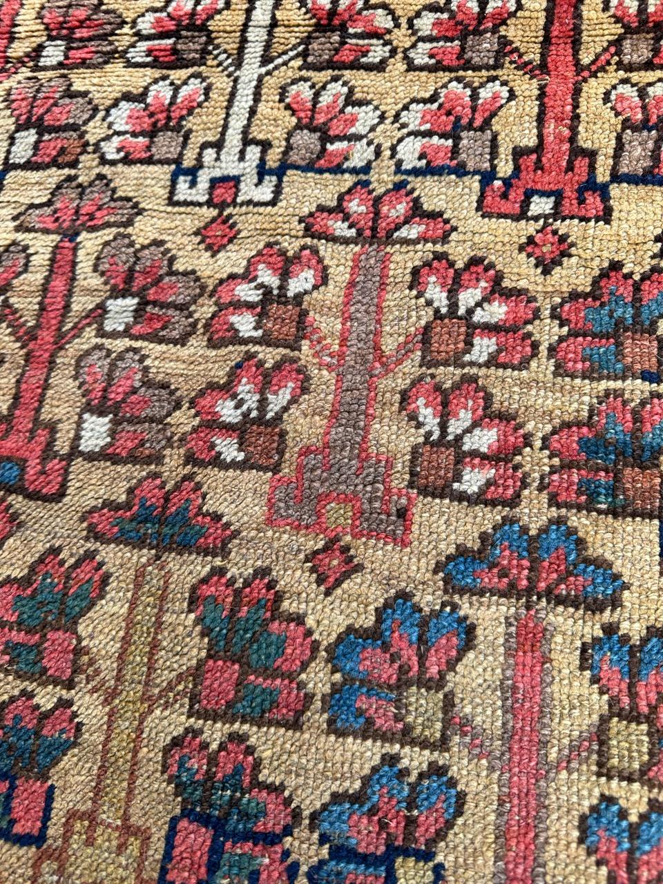 XIXe siècle Merveilleux tapis tribal ancien de collection kurde ou caucasien en vente
