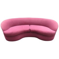 Wonderful Biomorphic Kidney Bean Shaped Sofa Labeled Directional