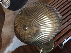 Wonderful Brass Desk Lamp from Finland with Shell Shade