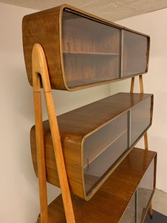 Wonderful Display Storage Attributed to Franco Campo & Carlo Graffi