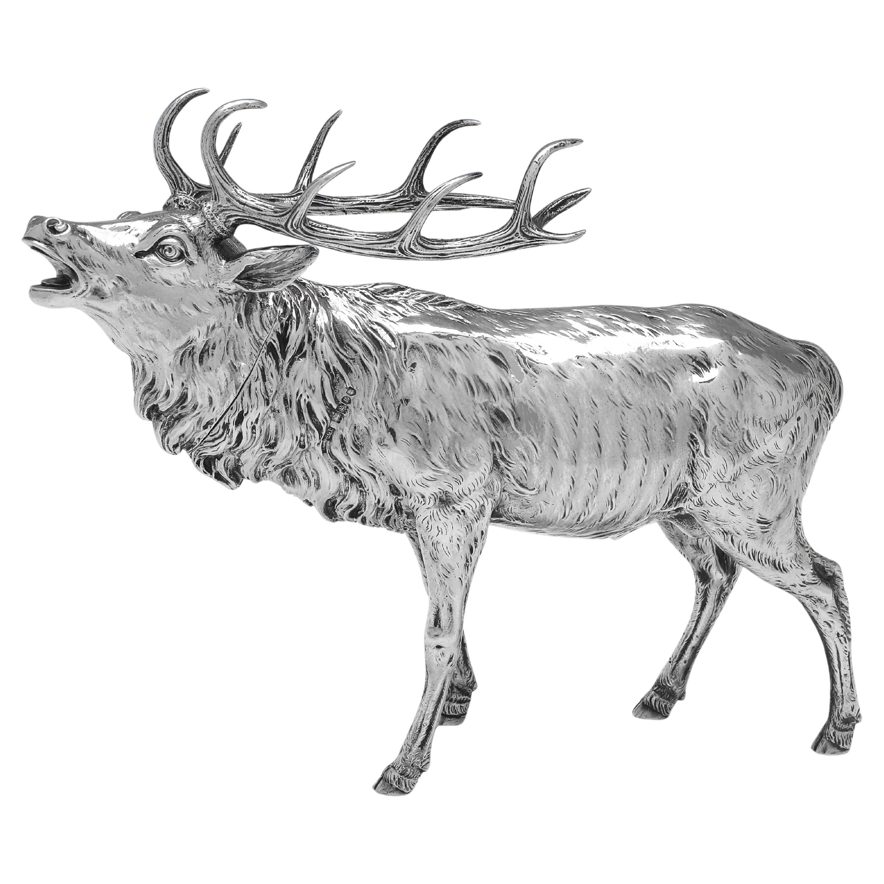 Wunderschönes edwardianisches Sterlingsilbermodell eines bellowingenden Hirsches aus dem Jahr 1902