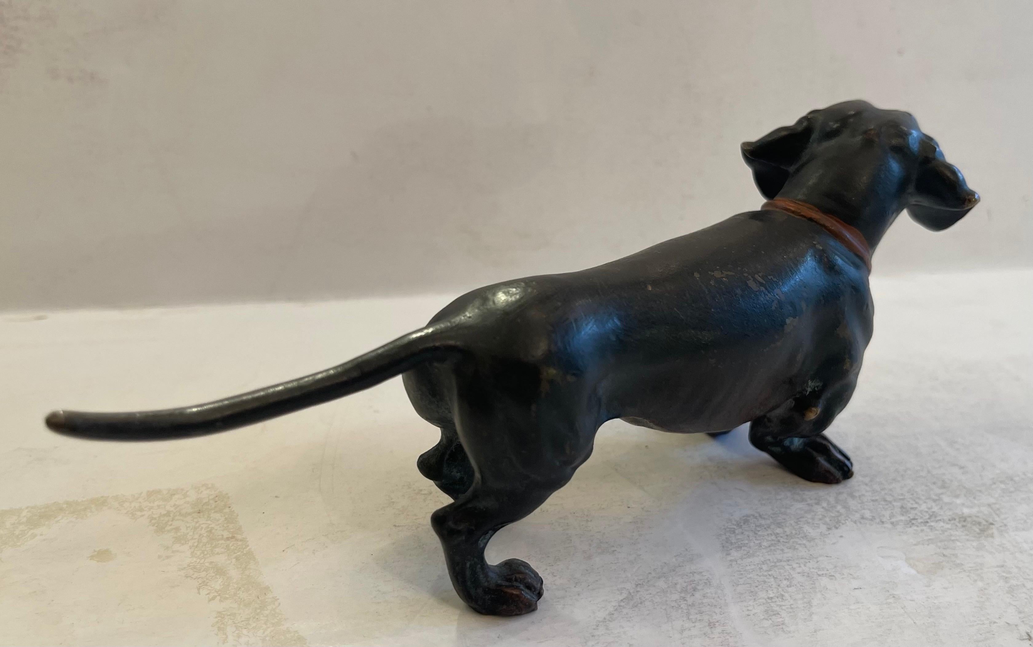 German Wonderful Franz Bergman Standing Dachshund Vienna Austria Bronze Dog Sculpture For Sale
