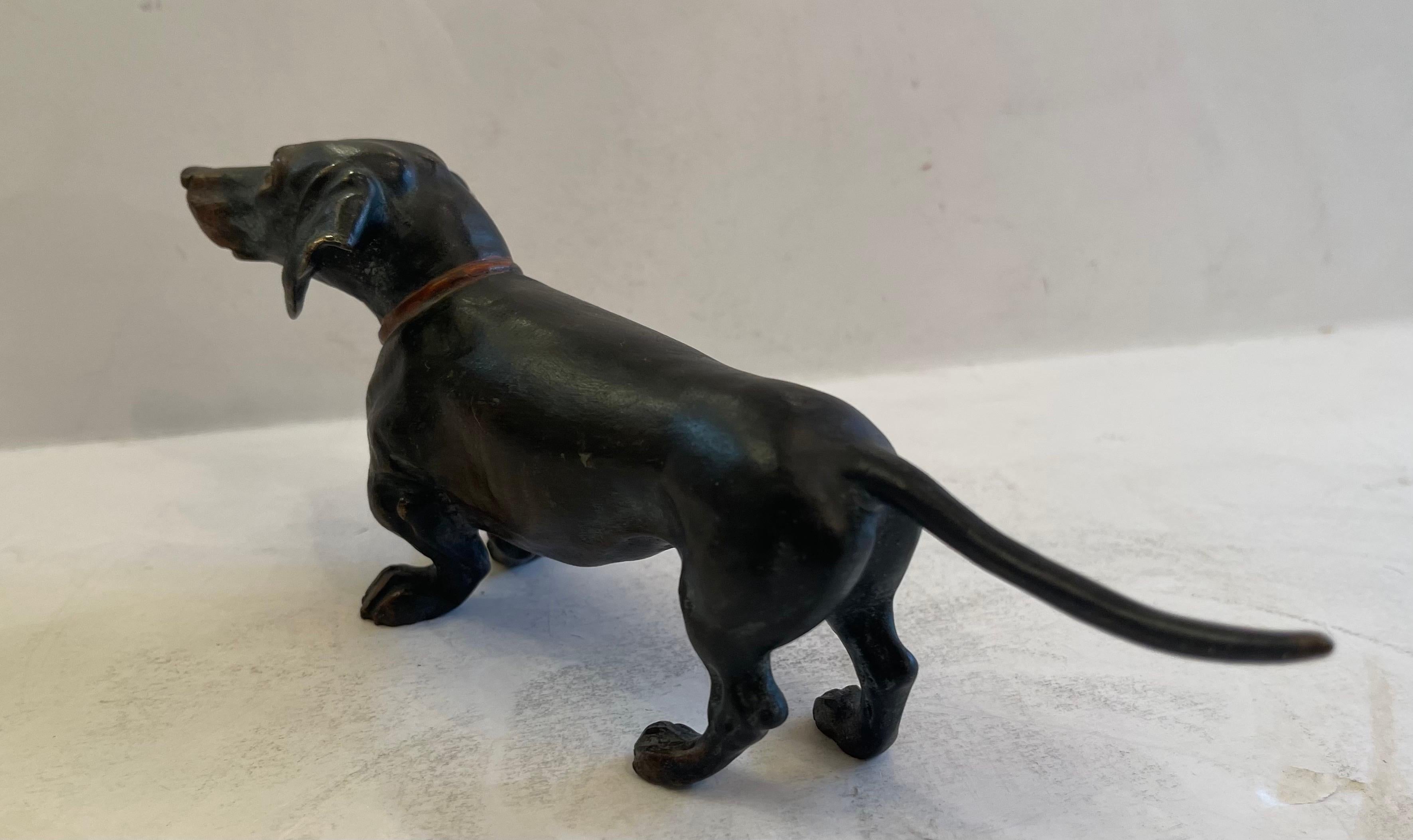 Cold-Painted Wonderful Franz Bergman Standing Dachshund Vienna Austria Bronze Dog Sculpture For Sale