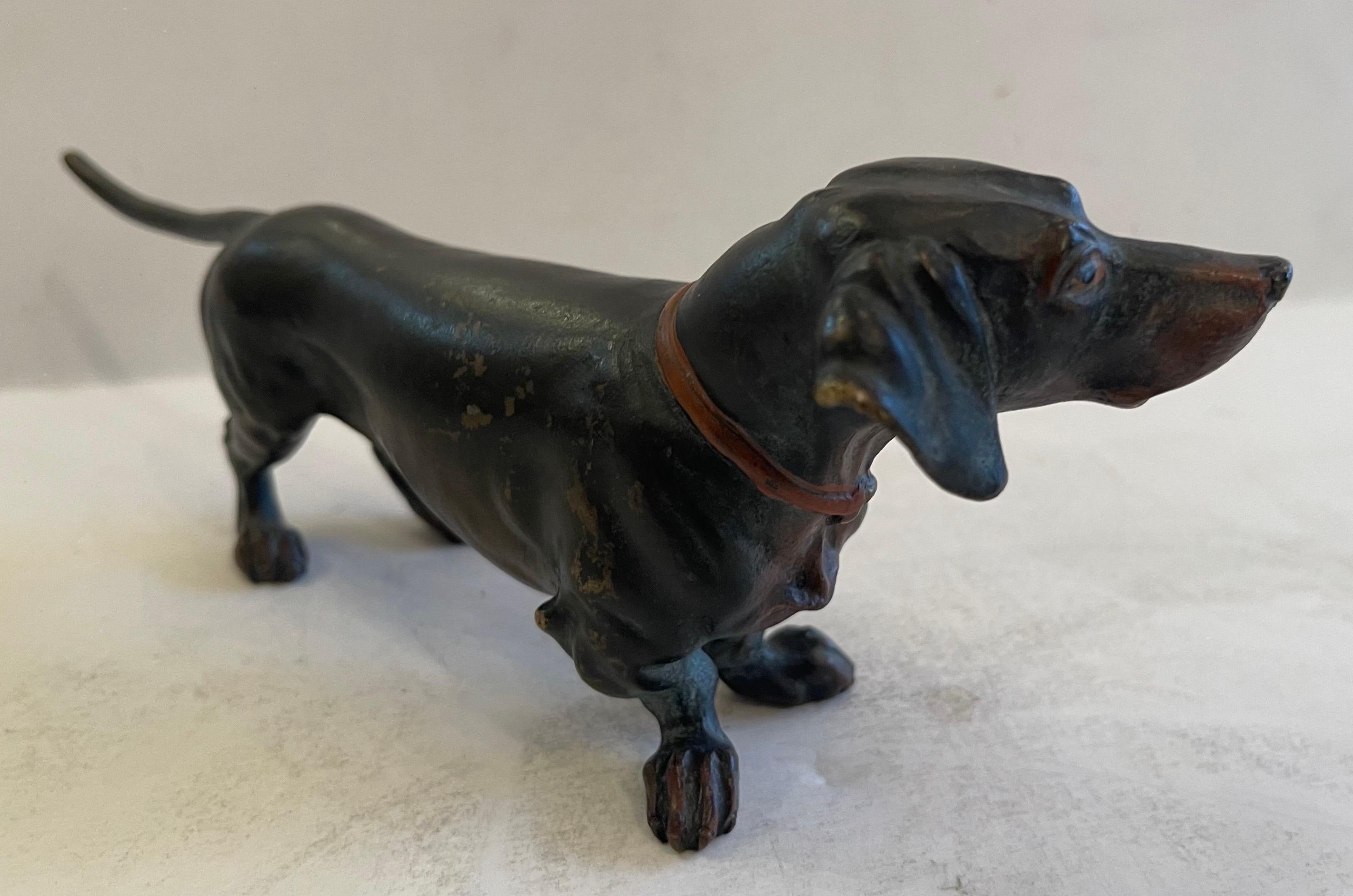 19th Century Wonderful Franz Bergman Standing Dachshund Vienna Austria Bronze Dog Sculpture For Sale