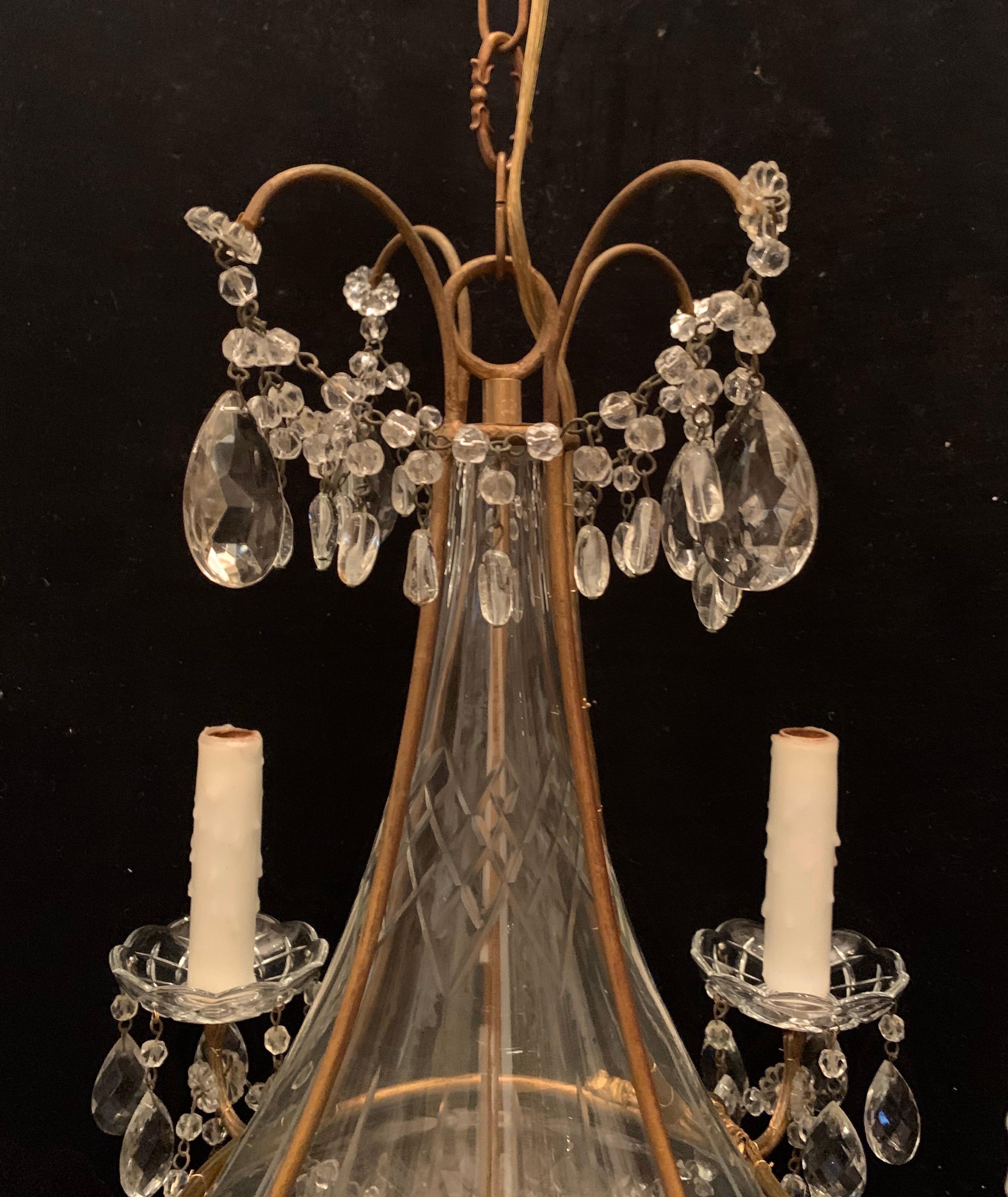 Belle Époque Wonderful French Baguès Petite Crystal Glass Urn Gilt Tear Drop Swag Chandelier For Sale