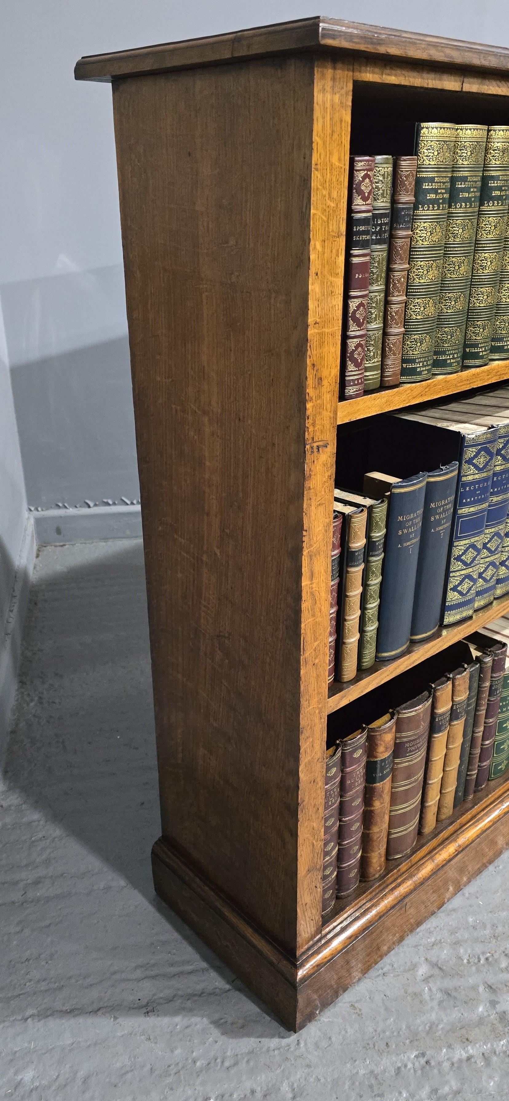 19th Century Wonderful Golden Oak Adjustable Library Bookcase