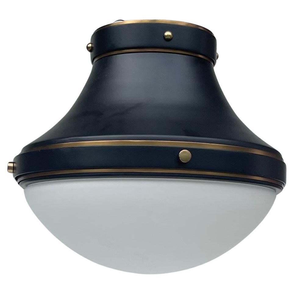 What is ceiling mounted light?