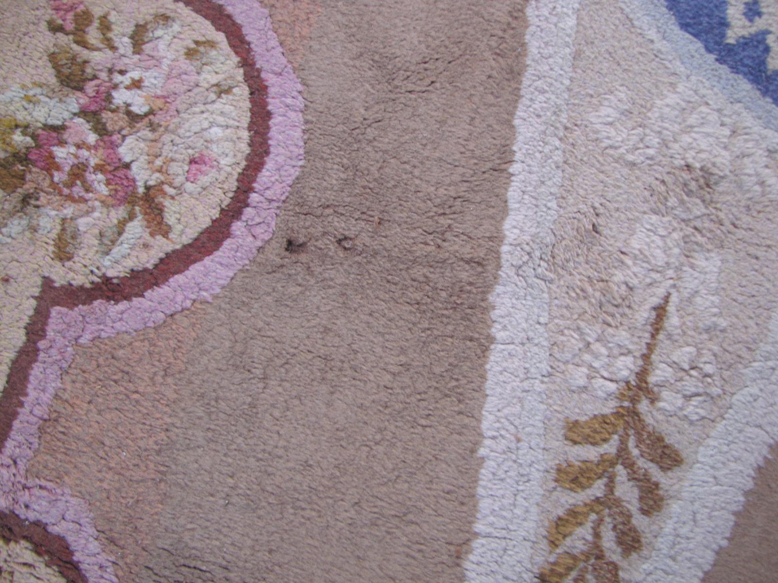 Wonderful Large Antique French Savonnerie Carpet 3