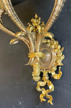 Wonderful Large Pair Bronze Caldwell Cornucopia Bow Tassels Sconces
