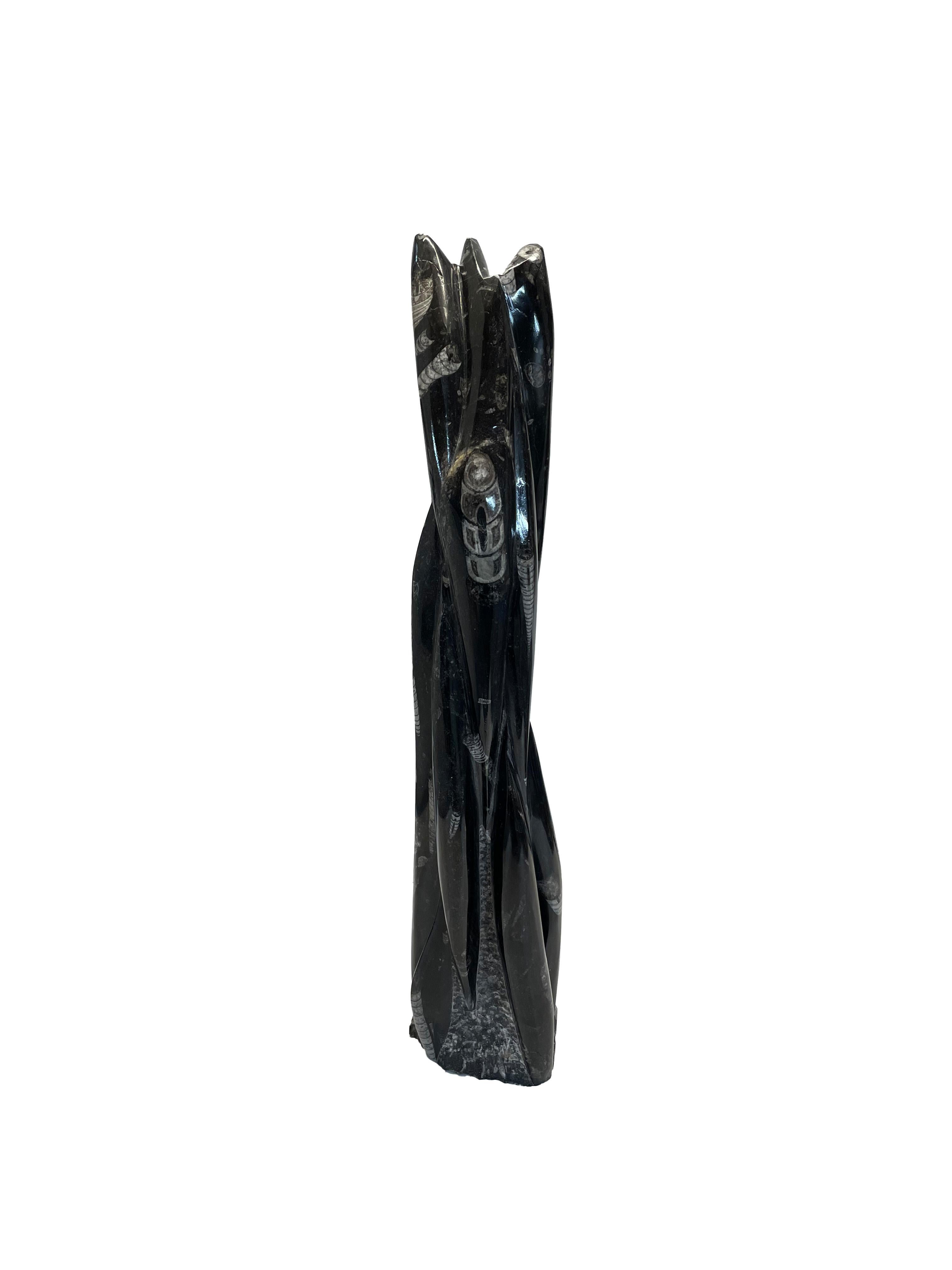 Einzigartige Granitskulptur mit eingebetteten Fossilien, die mehr als 280 Millionen Jahre alt sind.
Dieser wunderschöne, schwarze Granitturm mit seinen schönen Orthoceras-Fossilien ist eine Skulptur, die jeden Betrachter in ihren Bann zieht.

Die