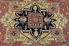 Meraviglioso tappeto tradizionale indiano nuovo