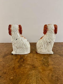Wonderful pair of antique Victorian seated spaniels