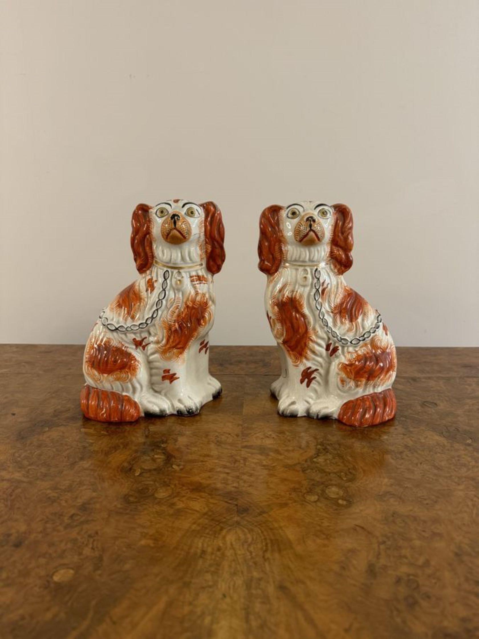 Wonderful pair of antique Victorian seated spaniels In Good Condition For Sale In Ipswich, GB