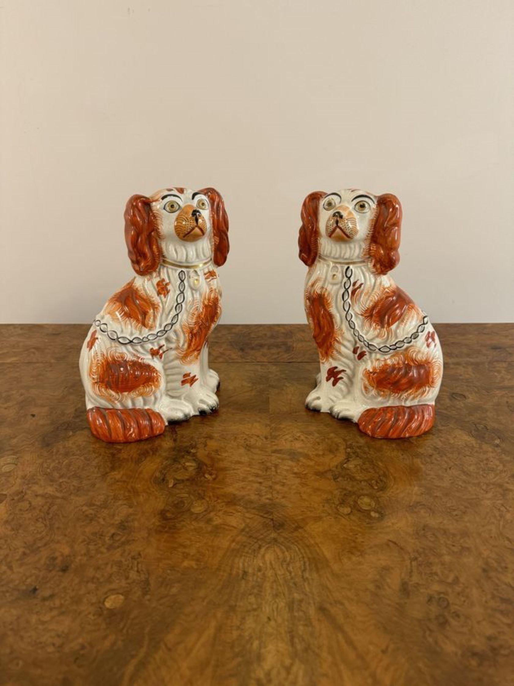 19th Century Wonderful pair of antique Victorian seated spaniels For Sale