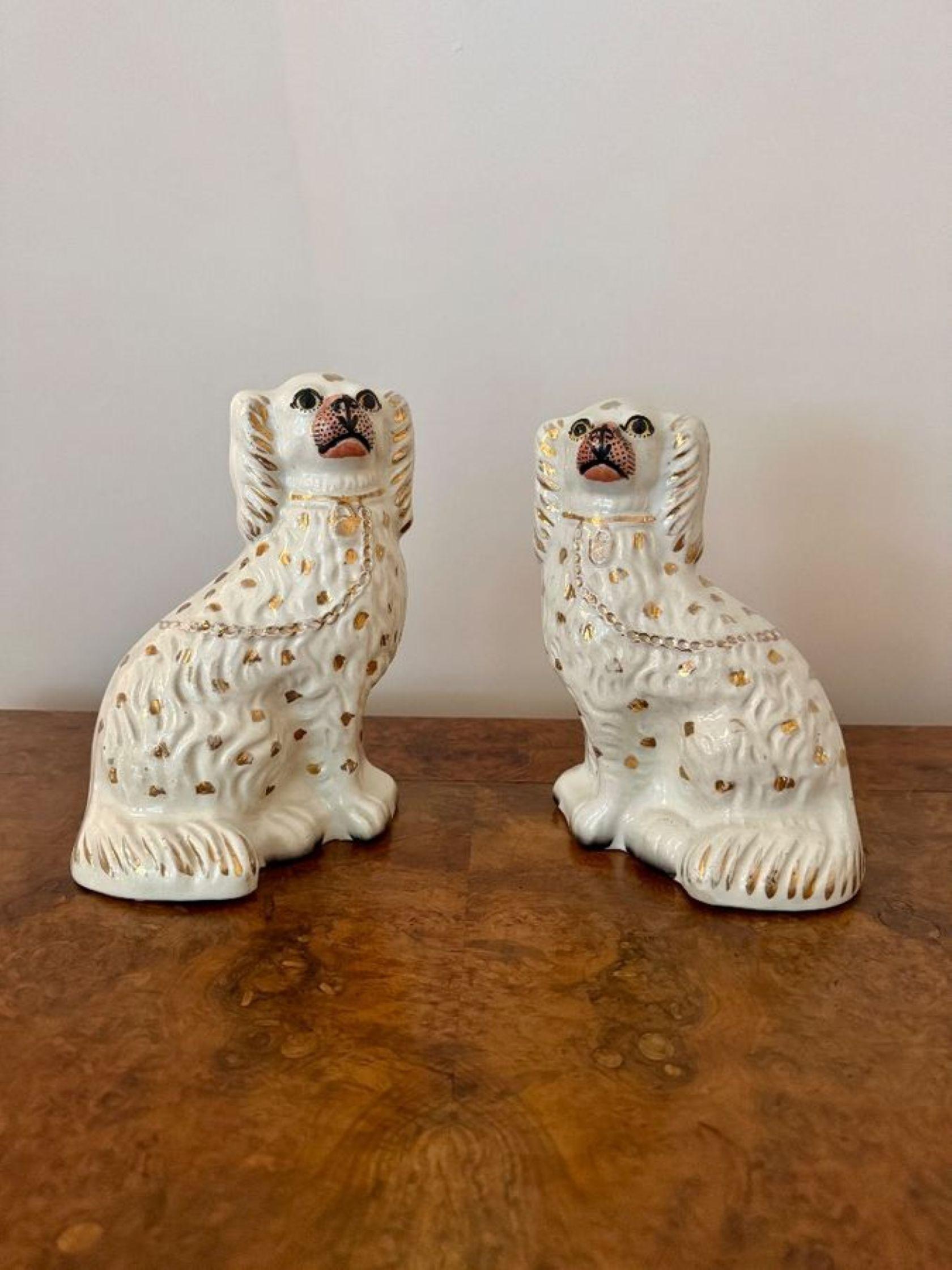 Merveilleuse paire d'anciens chiens Staffordshire de l'époque victorienne. Il s'agit d'une paire d'épagneuls assis, à la robe blanche et dorée, avec collier et cadenas dorés assortis.

D. 1880