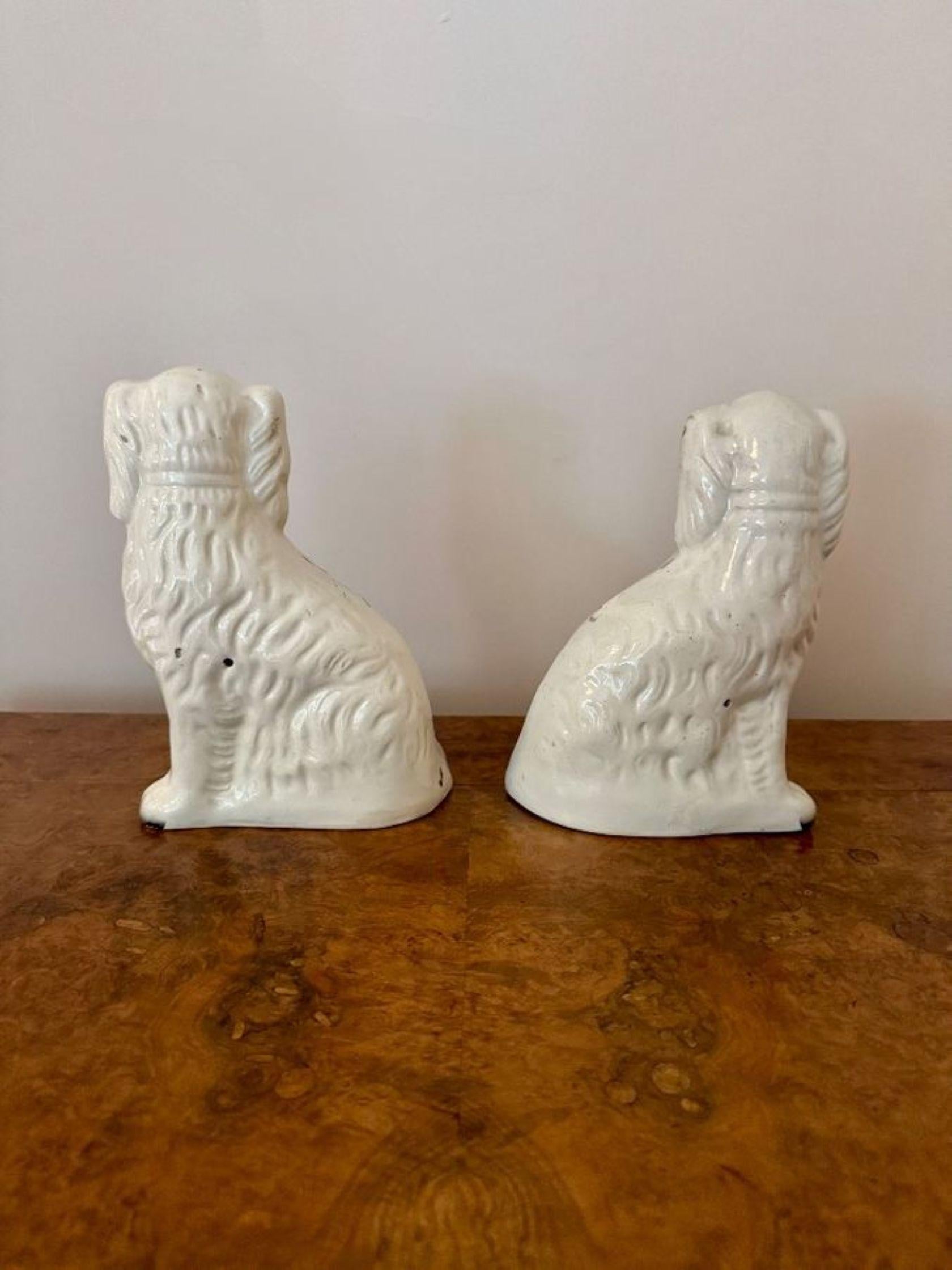 Peint à la main Merveilleuse paire d'anciens chiens Staffordshire de l'époque victorienne en vente