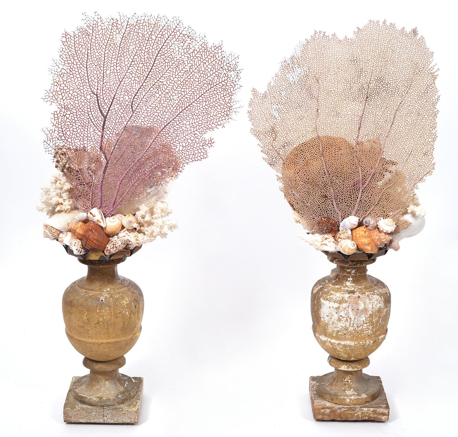 Wonderful Pair of Custom Made Coral Fragments Mounts on Antique Gilt Wood Bases For Sale 3
