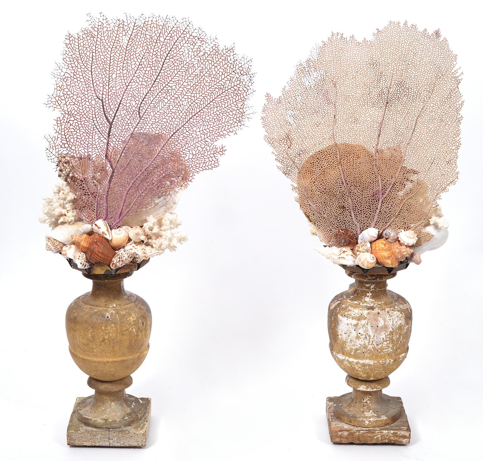 Maravillosa Pareja de Monturas de Fragmentos de Coral Hechas a Medida sobre Bases de Madera Dorada Antigua en venta 3