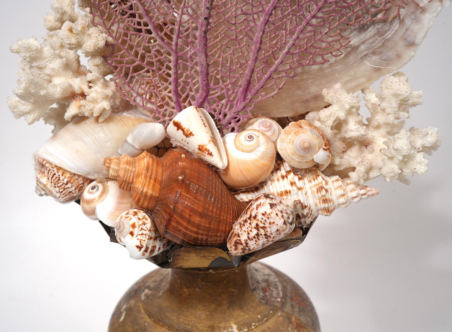 Wonderful Pair of Custom Made Coral Fragments Mounts on Antique Gilt Wood Bases For Sale 4