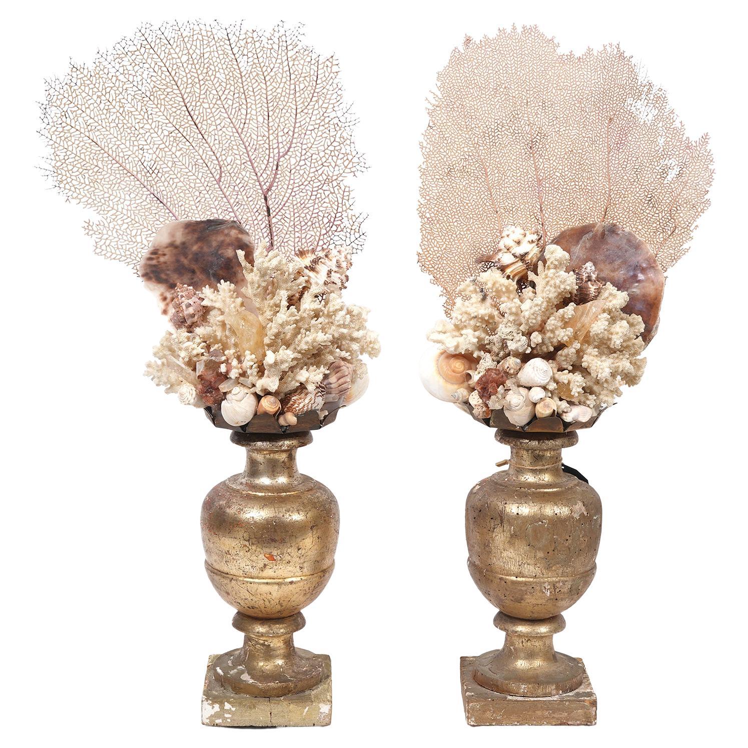 Wonderful Pair of Custom Made Coral Fragments Mounts on Antique Gilt Wood Bases