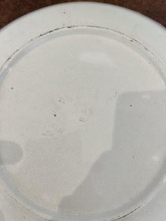 Wonderful pair of large 19th century Minton Plates