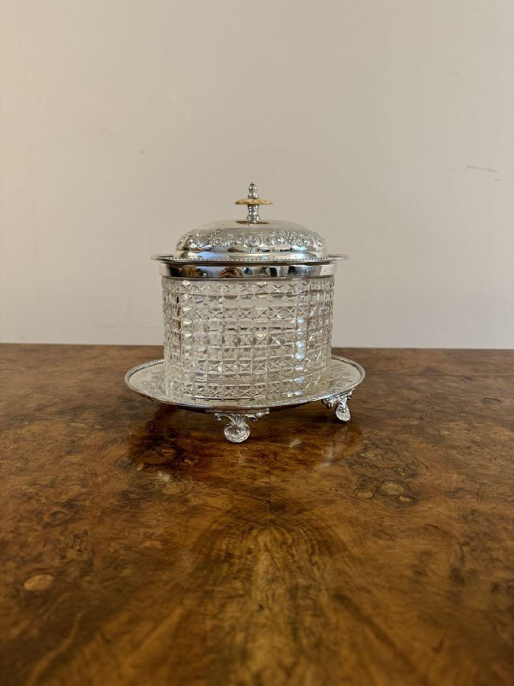 Wonderful quality antique Edwardian cut glass silver plated biscuit barrel  For Sale 2