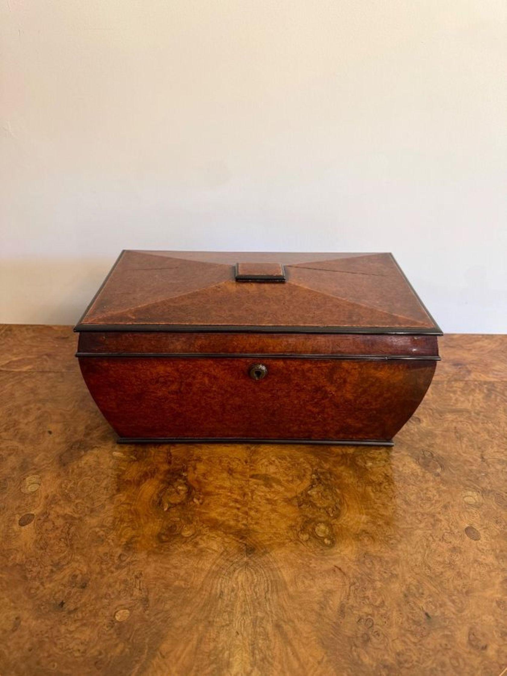 Maravillosa caja de té antigua de nogal de la Regencia, con forma de sarcófago y tapa abovedada en la parte superior, que se abre para revelar dos compartimentos de almacenamiento extraíbles para el té y un cuenco de cristal tallado en el centro. 