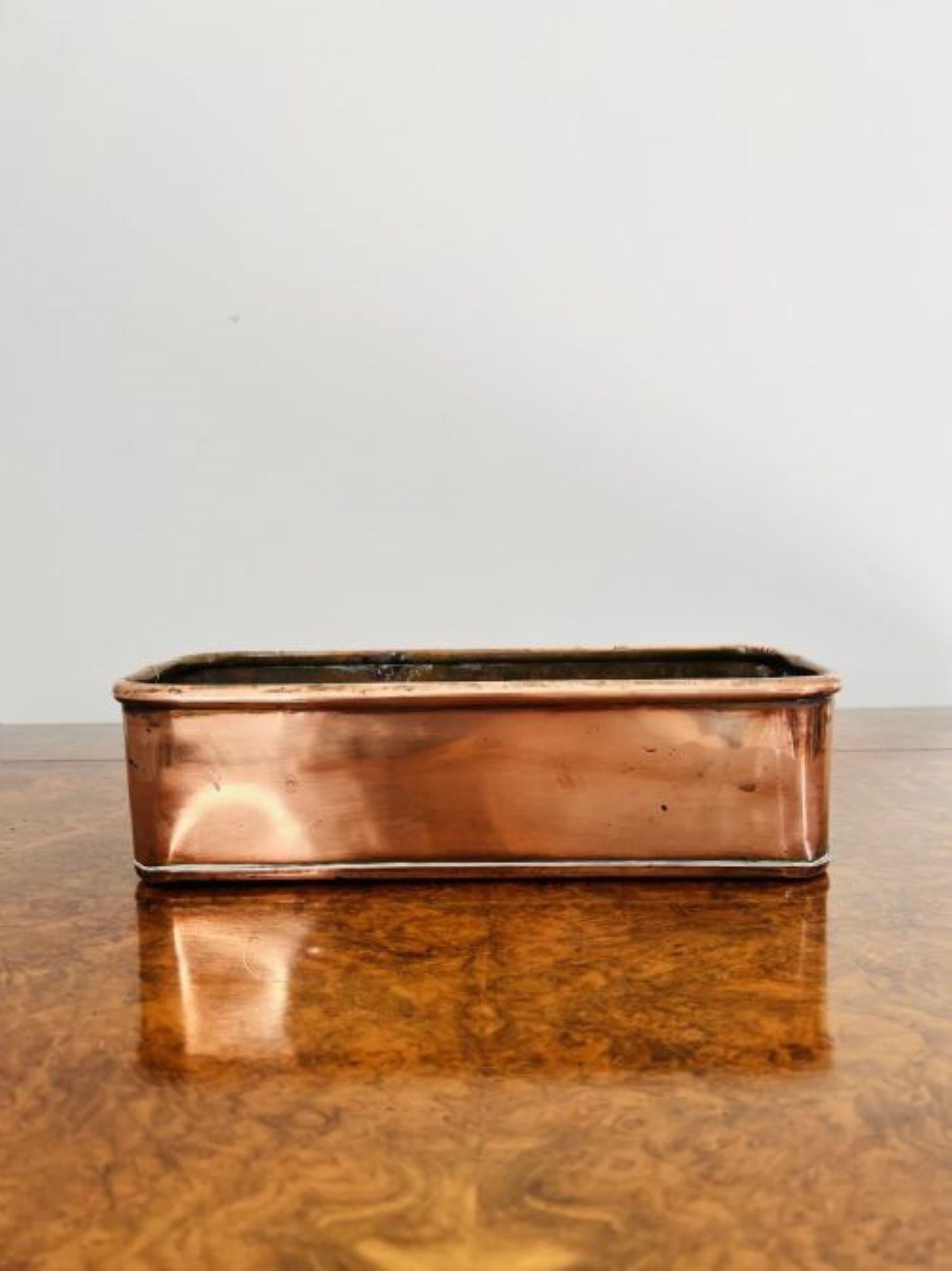 Wonderful quality antique Victorian copper planter having a wonderful antique Victorian copper planter with brass lion head handles to both sides.