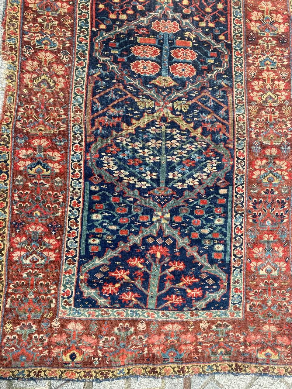 Very beautiful and very old north western runner, composed by two fragment of the same runner (probably reduced because the size) with beautiful design and nice natural colors, collectible pieces, entirely hand knotted with wool velvet on wool