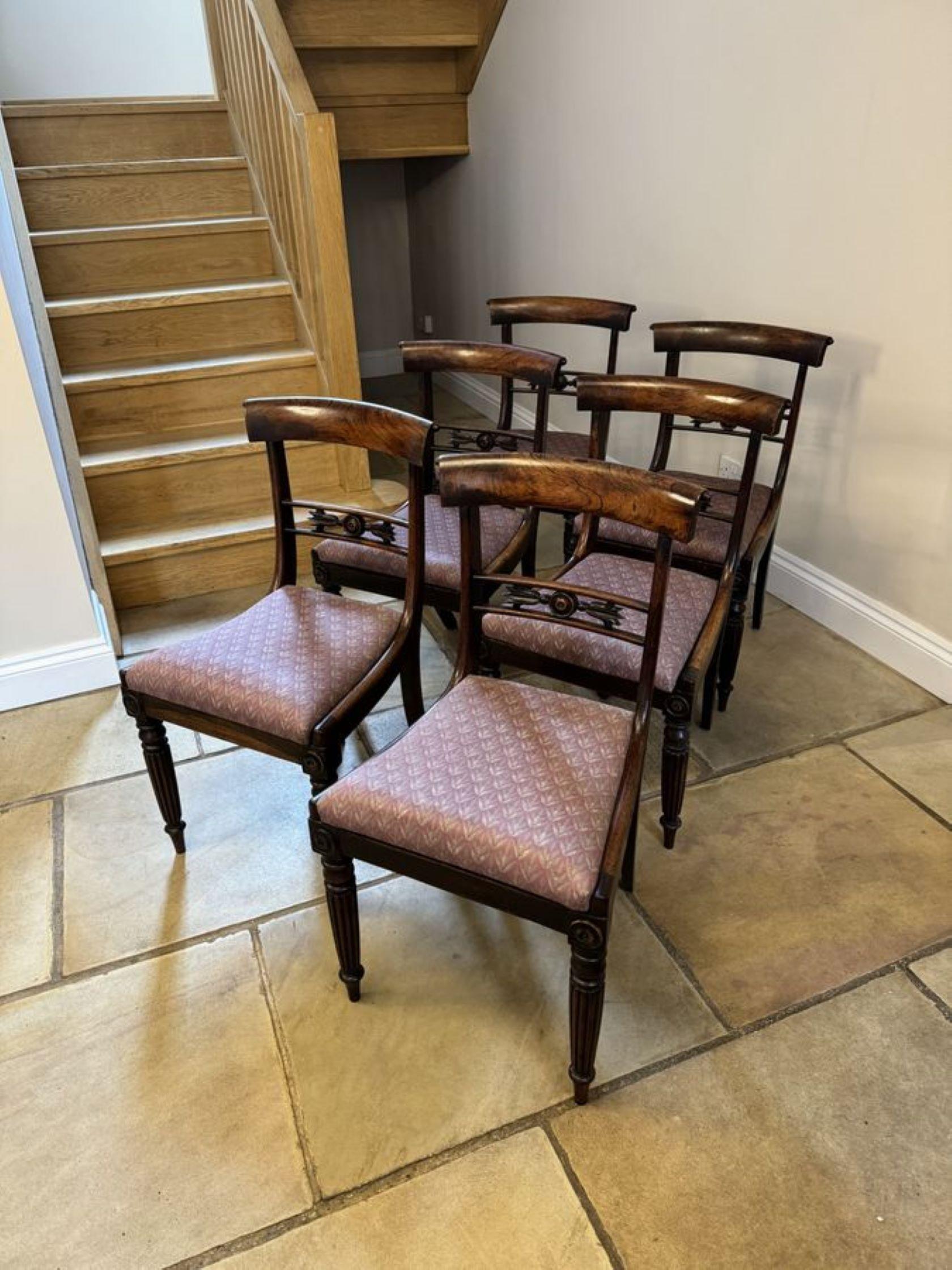 Wonderful set of six antique regency quality rosewood dining chairs  For Sale 4