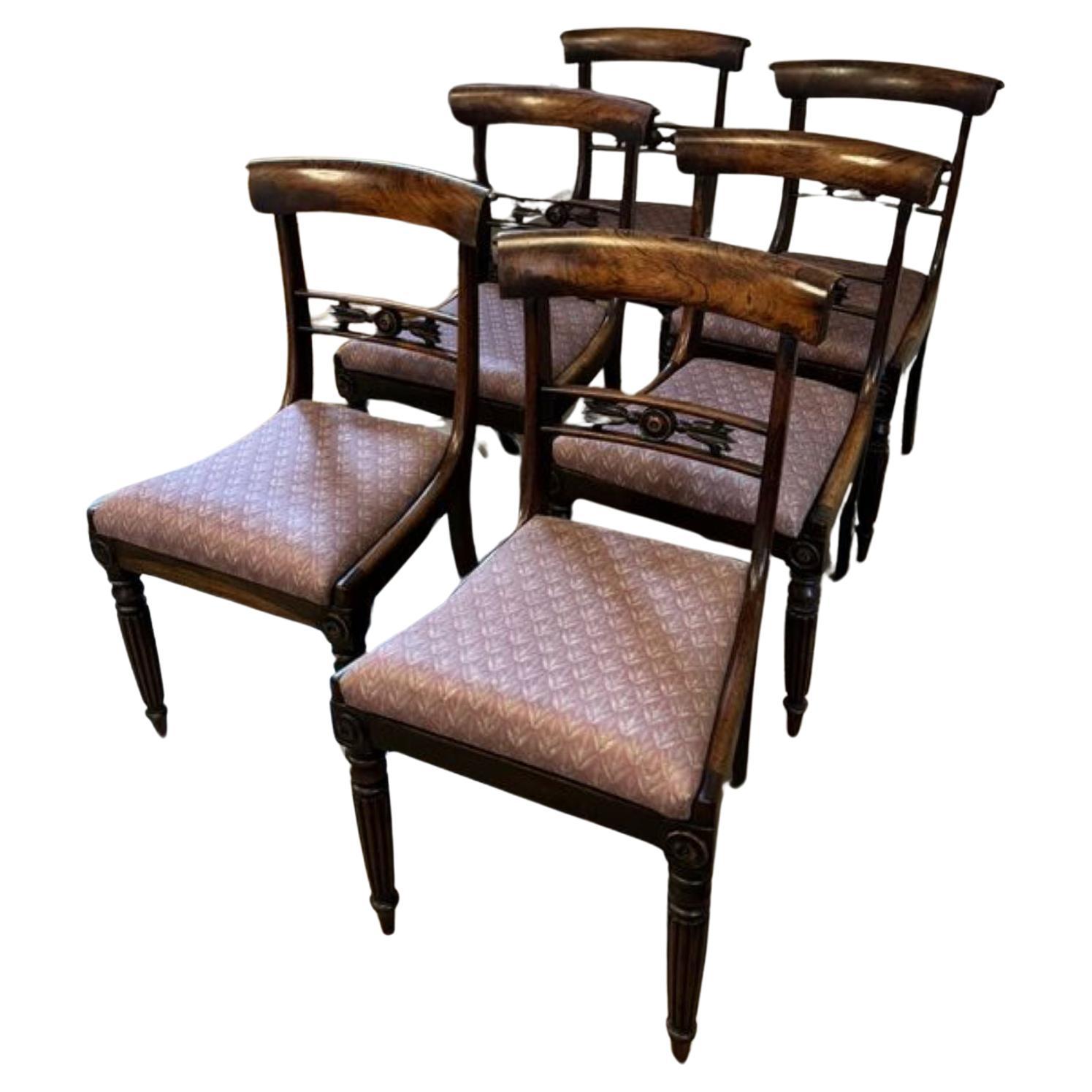 Wonderful set of six antique regency quality rosewood dining chairs  For Sale