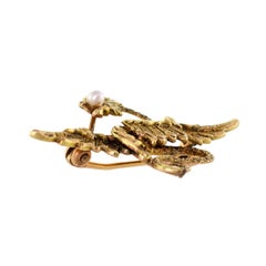 Wonderful Turn-of-the-century Chimera Brooch