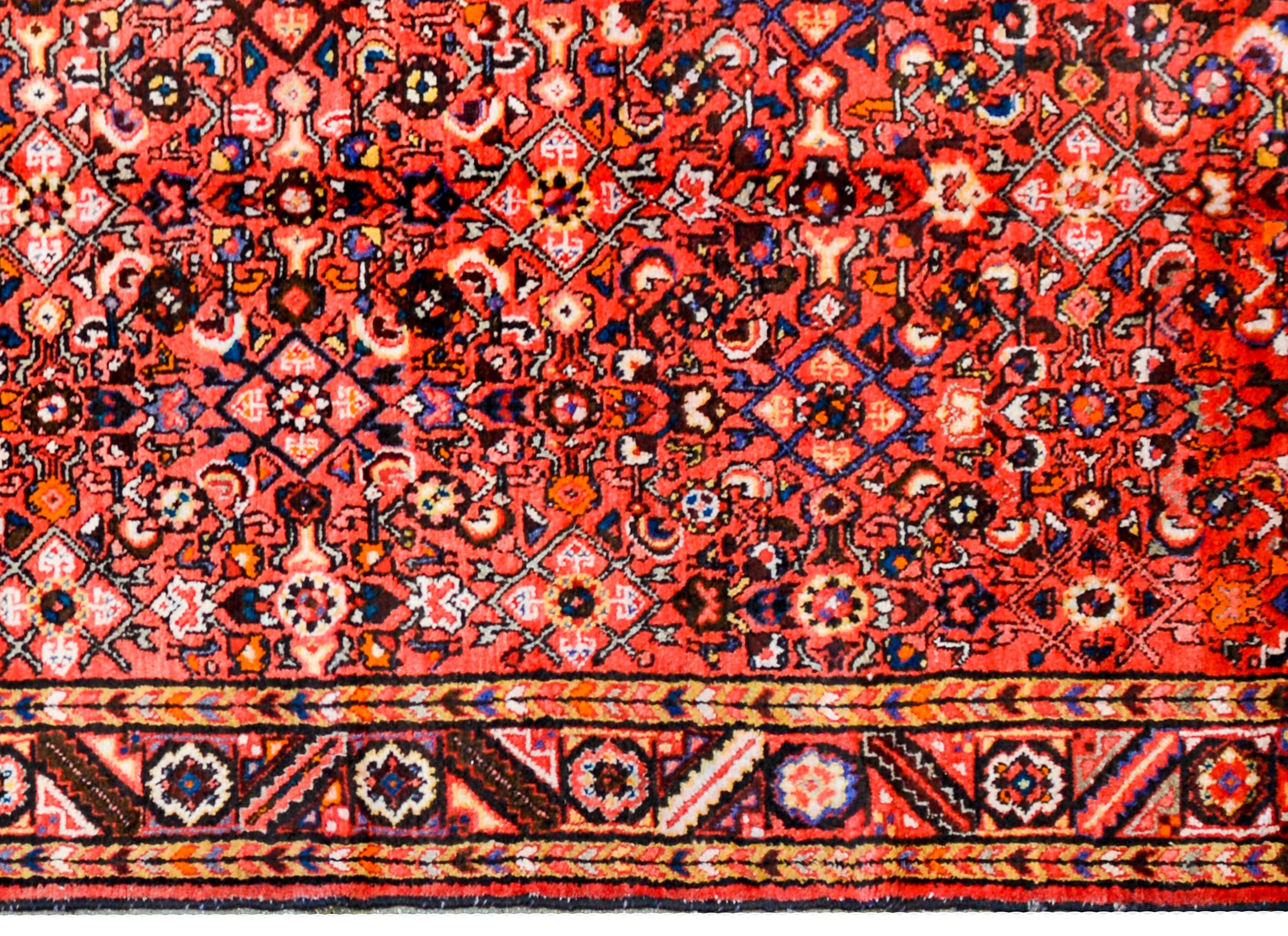 Erstaunlicher Hamadan-Teppich aus der Mitte des 20. Jahrhunderts (Pflanzlich gefärbt) im Angebot