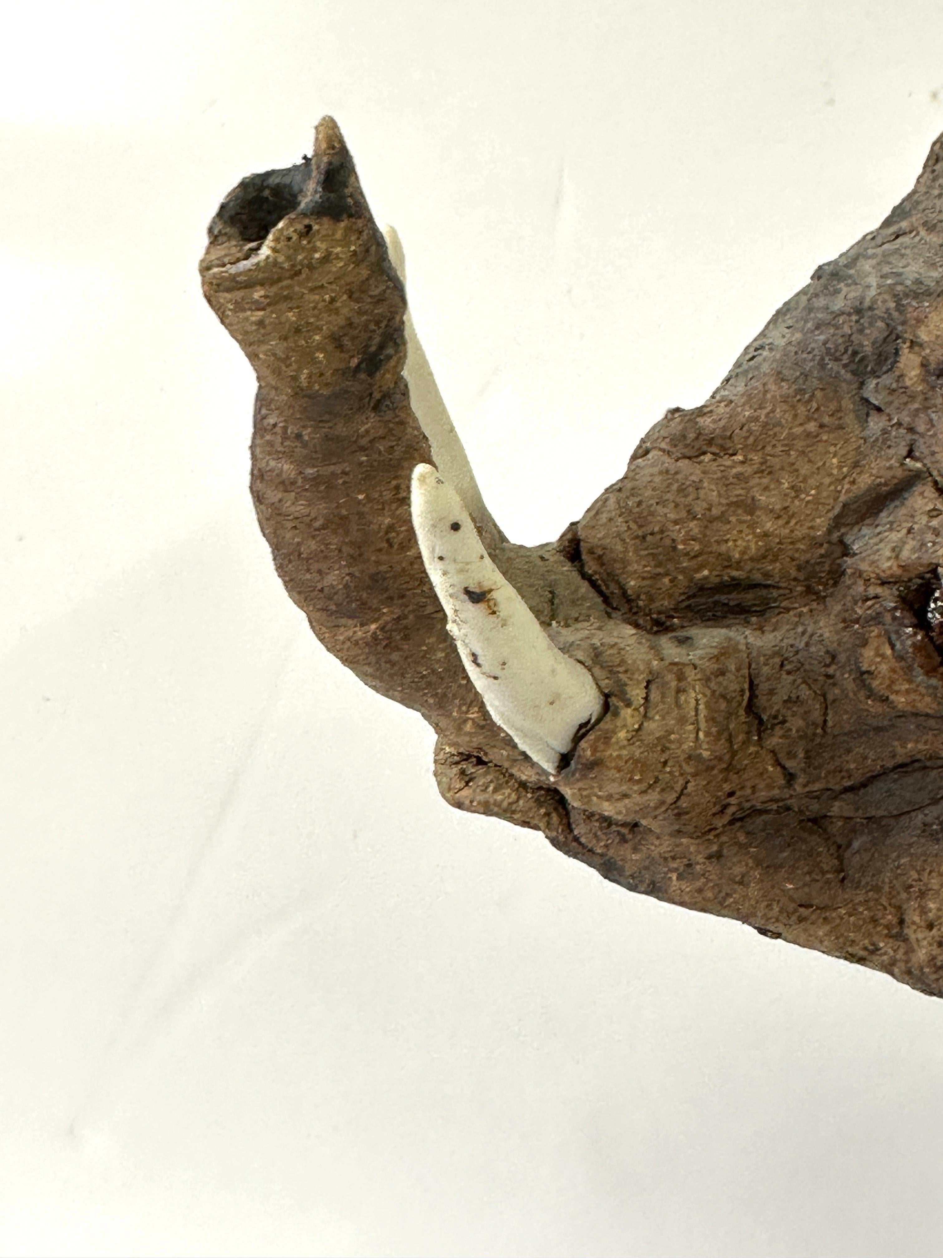 20th Century Wonderful Whimsical Hand Built Pottery Elephant For Sale