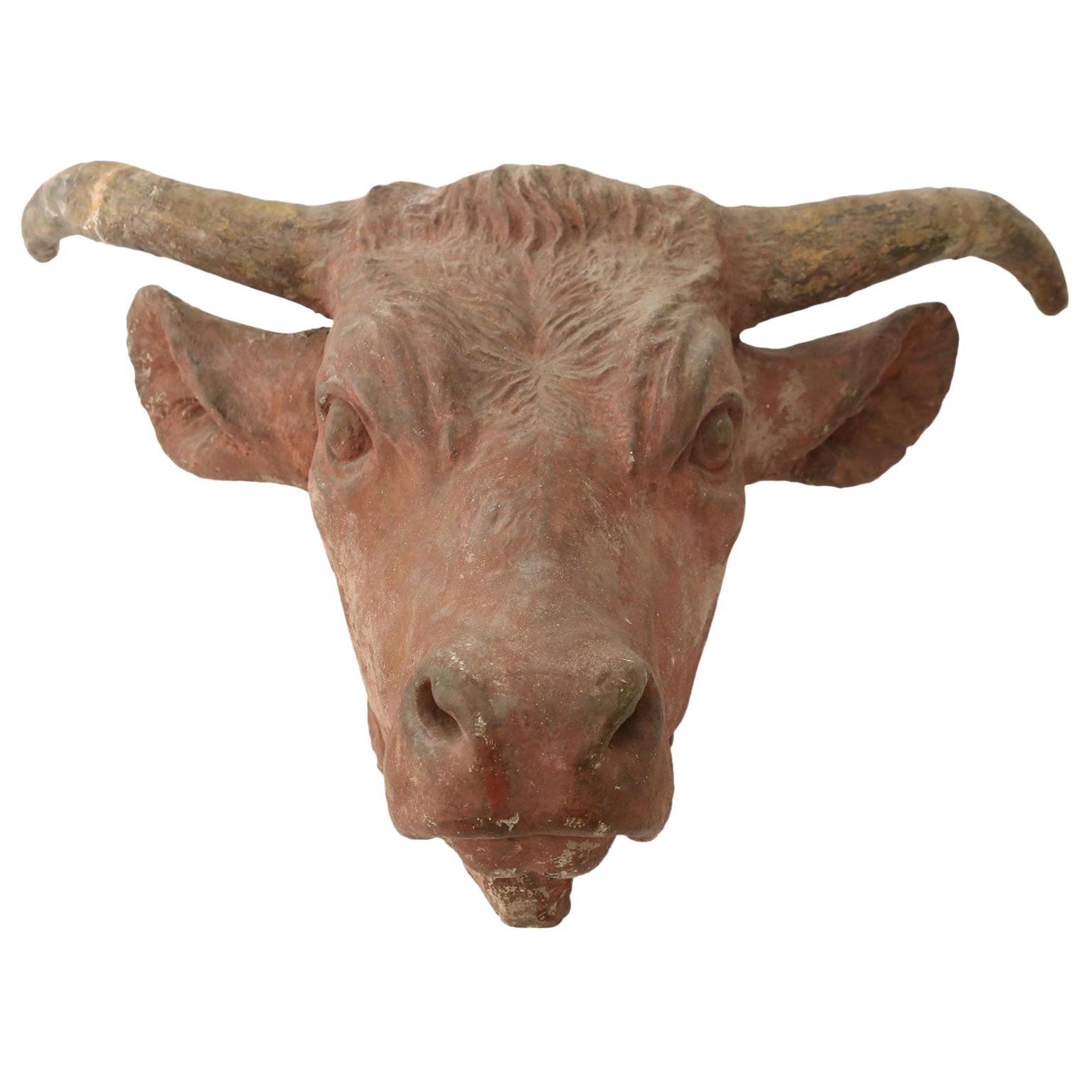 Wonderfully Detailed Concrete Cow Head at 1stDibs | cow head sculpture, cow  head for sale, cow tete