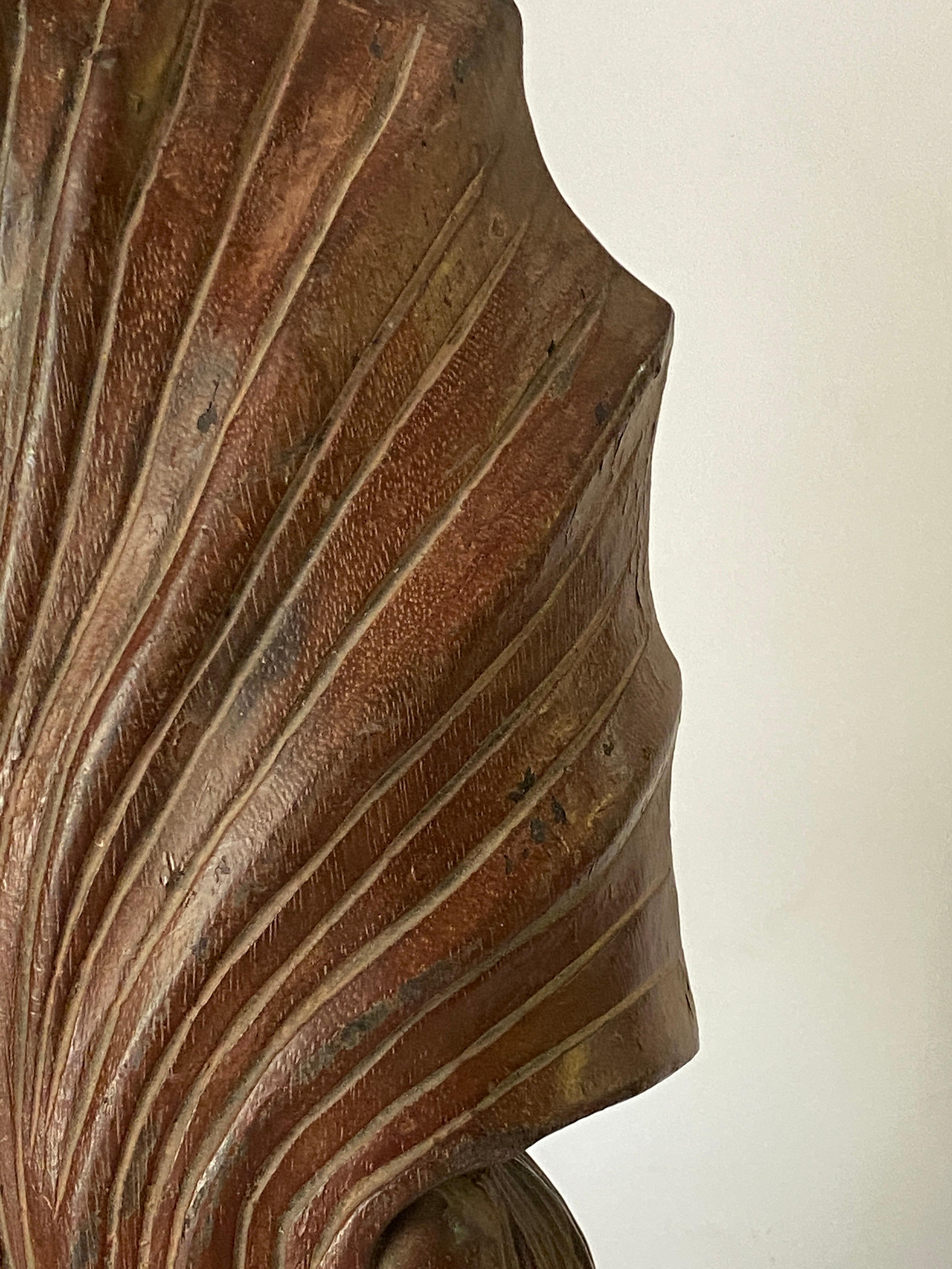 Mid-20th Century Wood Abstract Sculpture, Shell Shape, Brown Color, France, 1960 For Sale