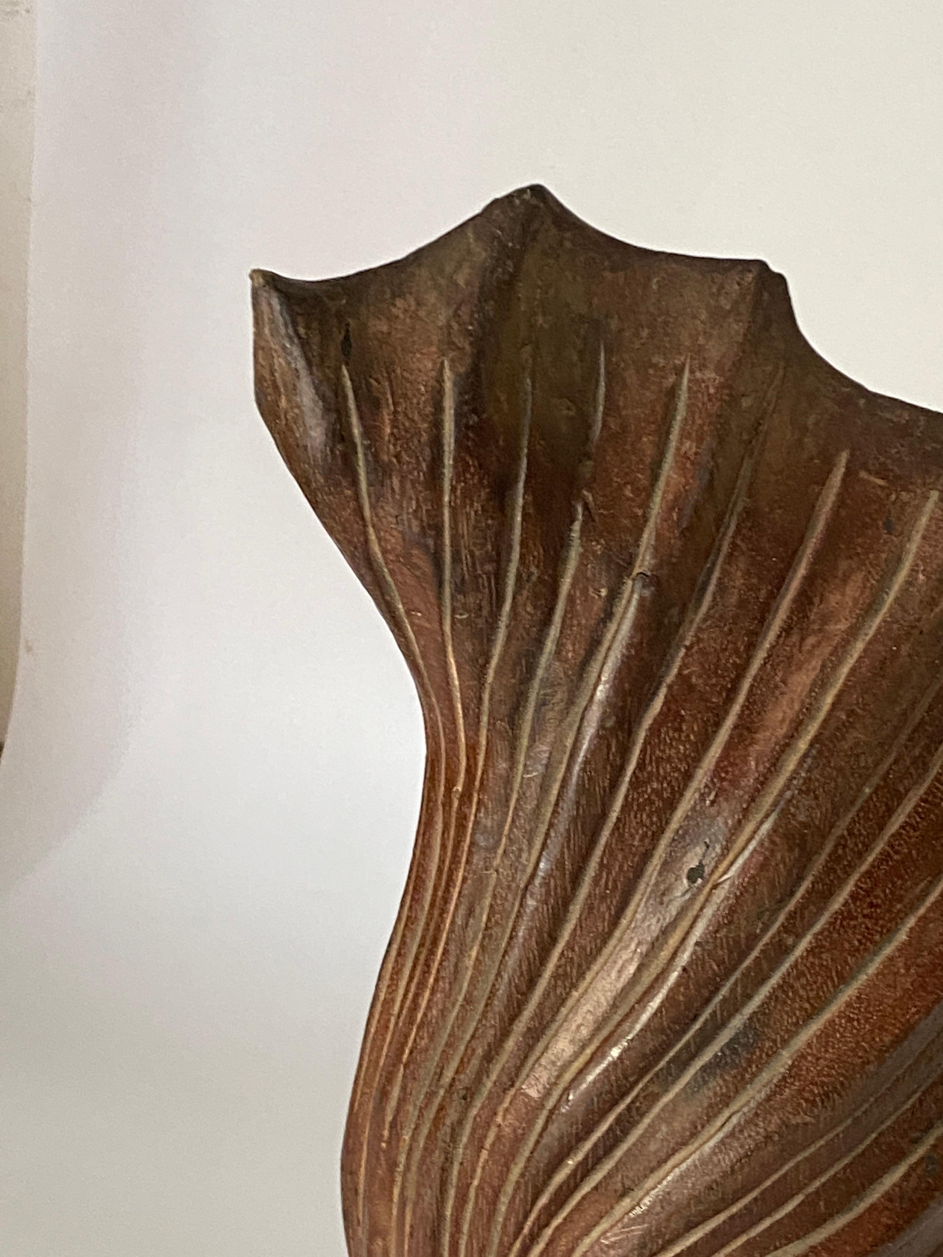 Wood Abstract Sculpture, Shell Shape, Brown Color, France, 1960 For Sale 1