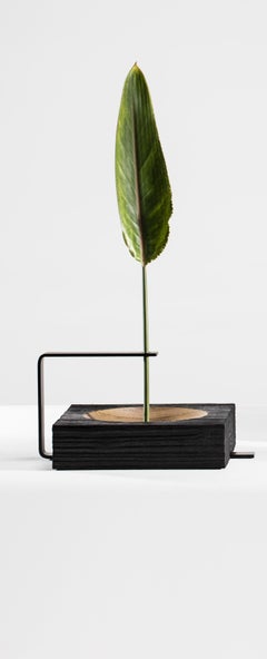 Wood e alluminio Vaso Torno di Atelier Andre Ferri