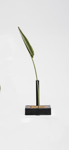 Vaso Torno de Madera y Aluminio por Atelier Andre Ferri