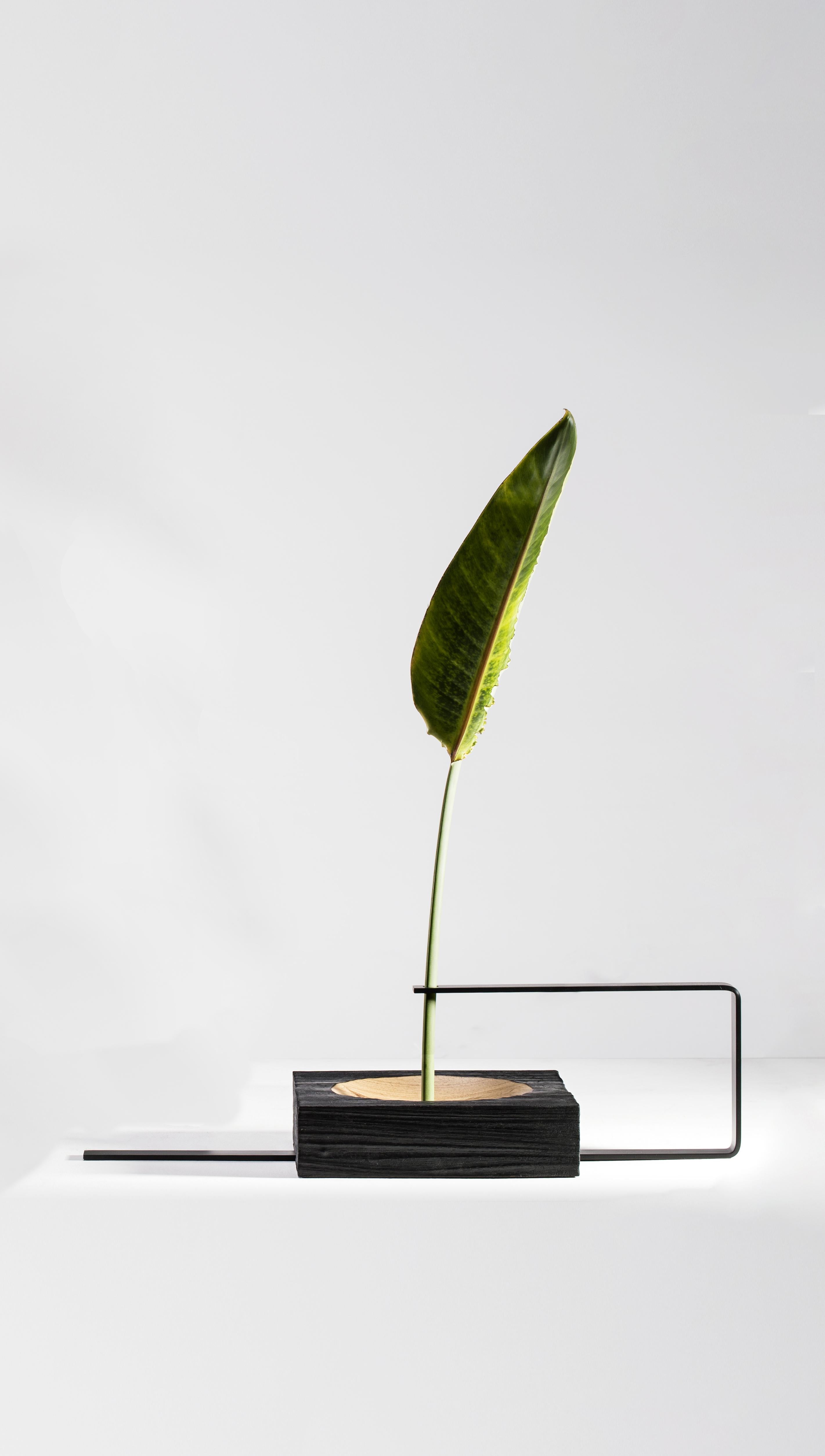 Brasiliano Wood e alluminio Vaso Torno di Atelier Andre Ferri in vendita