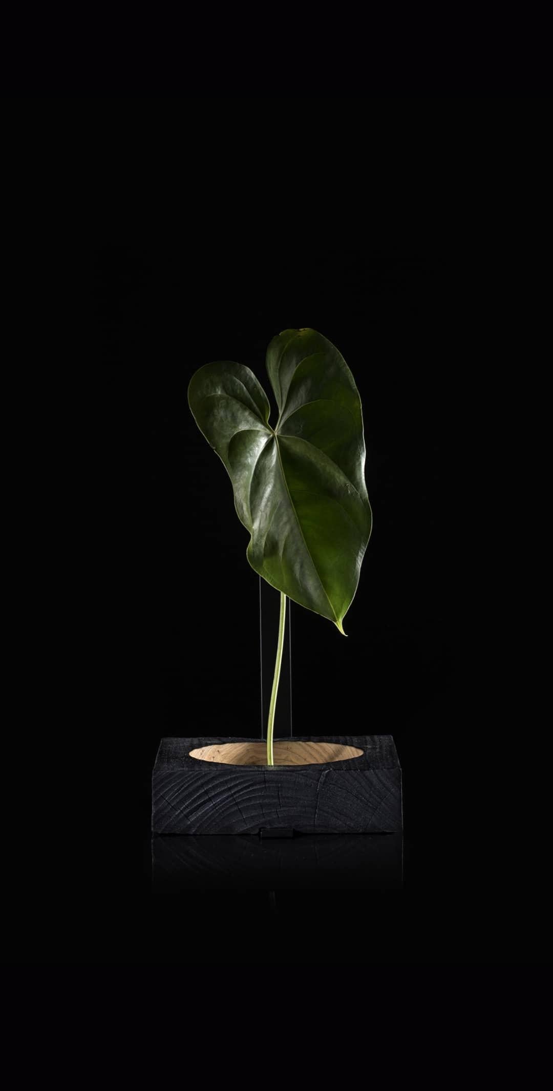XXI secolo e contemporaneo Wood e alluminio Vaso Torno di Atelier Andre Ferri in vendita
